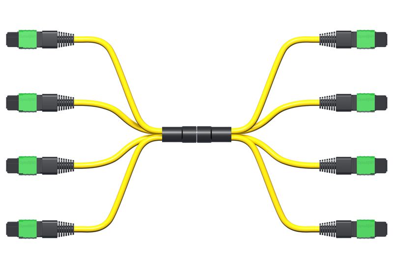 OptoSpan PDPD-KS248NXR75 OS2 100G MPO Connector (24F) Trunk Cable