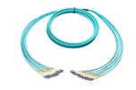 OptoSpan LCLC-FM424NXP05 OM4 Plenum Breakout Fiber Cable