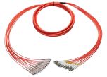 OptoSpan SCLC-FM112NXP02 OM1 Plenum Breakout Fiber Cable