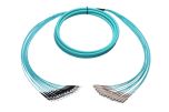 OptoSpan STSC-FM312LXP02 OM3 Plenum Armored Breakout Cable