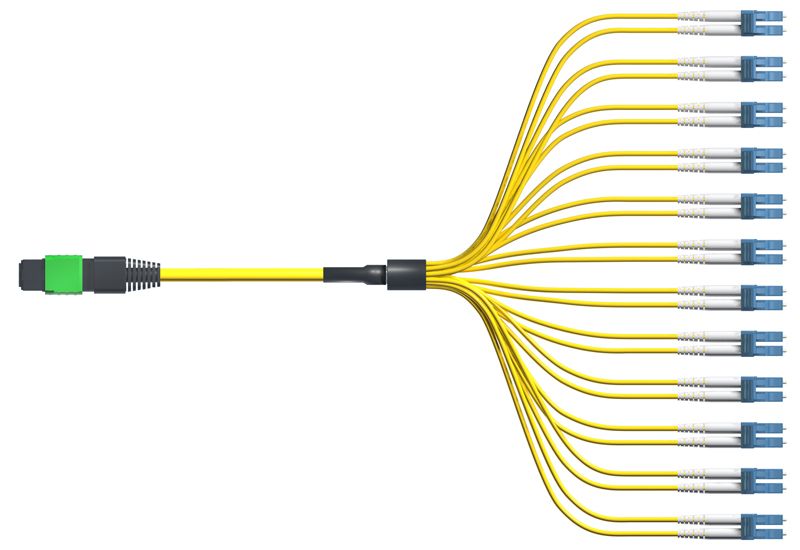 OptoSpan PDLC-FS224LXP02 OS2 Plenum 100G MPO Connector (24F) Armored Fanout Cable