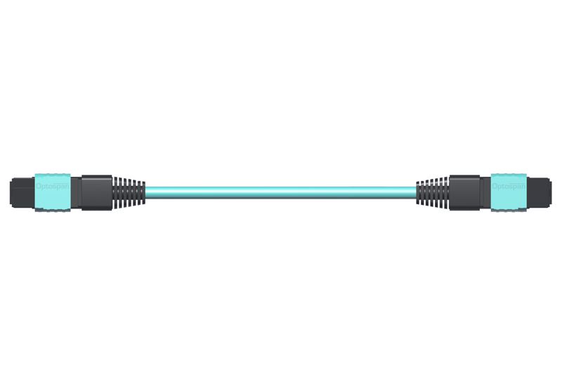 OptoSpan EHEH-KM424LXP10 OM4 Plenum 100G MTP Elite Connector (24F) Armored Trunk Cable