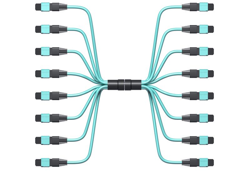 OptoSpan PGPG-KM496NXR10 OM4 100G MPO Connector (24F) Fiber Cable
