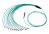 OptoSpan PHLC-FM472NXR02 OM4 100G MPO Connector (24F) Breakout Cable