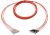 OptoSpan STSC-FM106NXP05 OM1 Plenum Breakout Cable