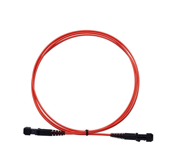 MTRJ-MTRJ Patch Cord Duplex Multimode 6ft MTRJ-MTRJ Patch Cord Duplex Multimode 6ft