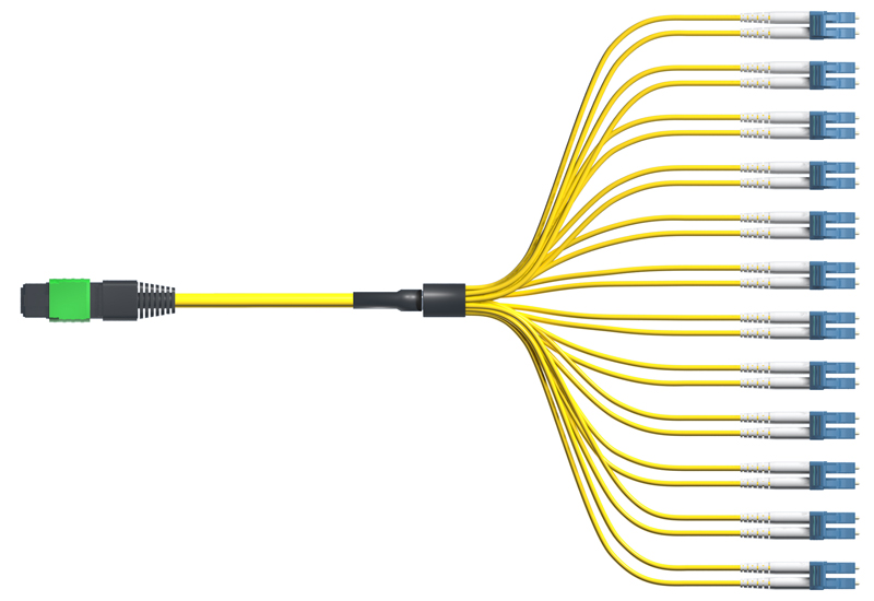Plenum Low Loss MTP Fanout Cable, 24-Fiber, Single-mode, 100 Meter, MTP Elite Harness
