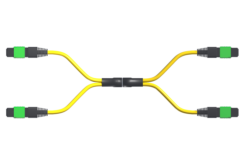 Plenum Low Loss MTP Cable, 24-Fiber, Single-mode, 7 Meter, MTP Elite