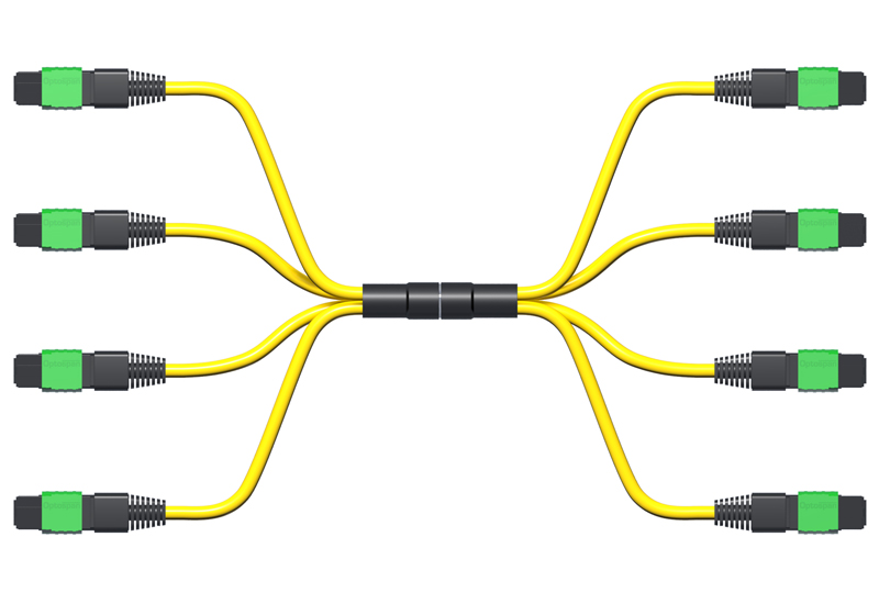 100G MPO Trunk Cable, 48-Fiber, Single-mode, 3ft CPAK