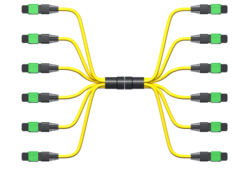 100G MTP Trunk Cable, 72-Fiber, Single-mode, 15ft