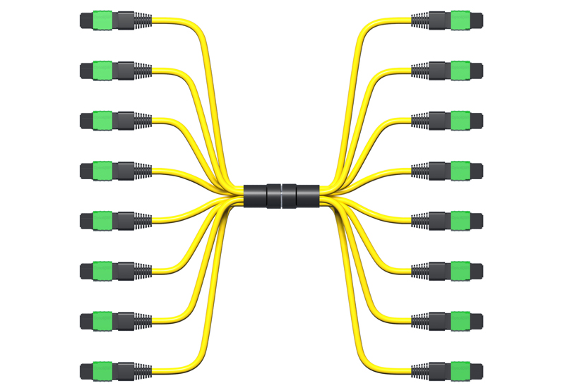 100G MPO Trunk Cable 80ft 96-Fiber Single-mode