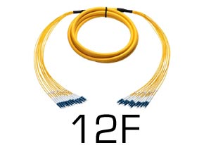 12 Fiber Breakout Cables
