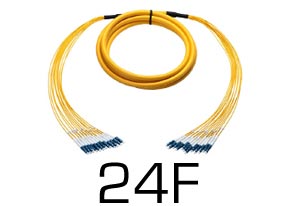24 Fiber Breakout Cables