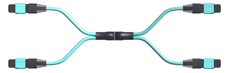 MTP Harness Cables