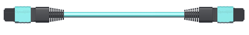 MTP Trunk Cables