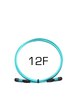 12 Strand MPO-MPO