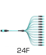 24-Fiber MPO to LC Cables